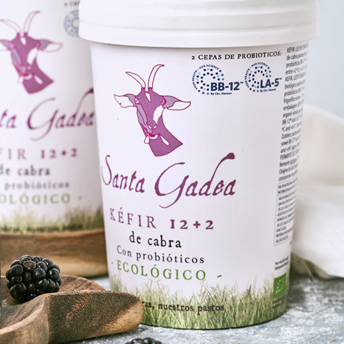 KEFIR ECO 420 GRS SANTA GADEA