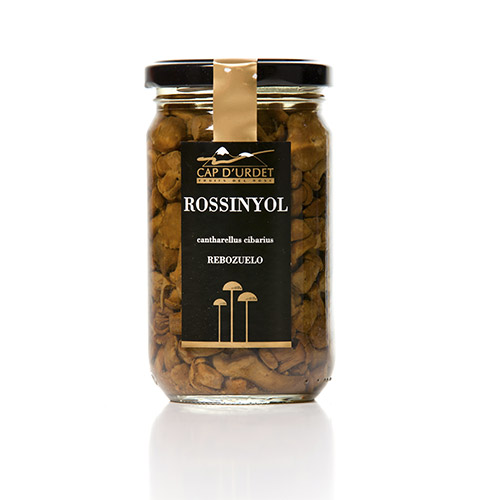 ROSSINYOL VIDRE 300 GRS URDET